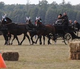 Zdjęcie z galerii: Hubertus Spalski-zdjęcia z 11 października 2015