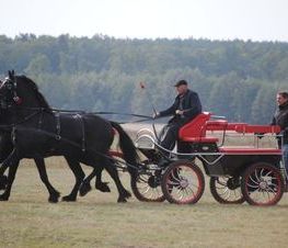 Zdjęcie z galerii: Hubertus Spalski-zdjęcia z 11 października 2015