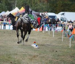 Zdjęcie z galerii: Hubertus Spalski-zdjęcia z 11 października 2015