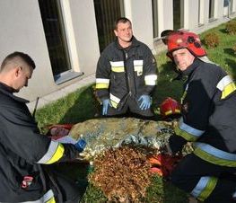 Zdjęcie z galerii: Ćwiczenia P.Poż. w Starostwie Powiatowym