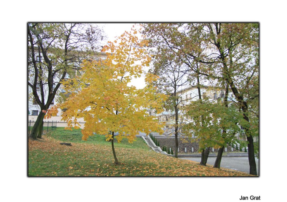 Wystawa fotografii w Powiatowym Centrum Animacji Społecznej
