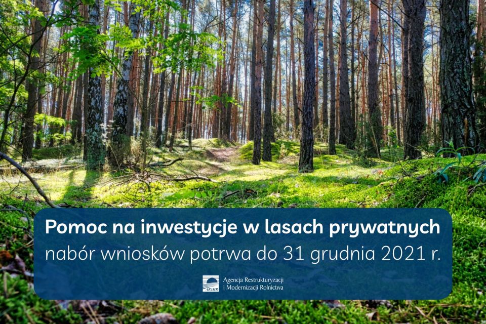 Na zdjęciu: ulotka ARiMR dotycząca informacji o rozpoczęciu przyjmowania wniosków od zainteresowanych inwestowaniem w lasy Na zdjęciu: ulotka ARiMR dotycząca informacji o rozpoczęciu przyjmowania wniosków od zainteresowanych inwestowaniem w lasy