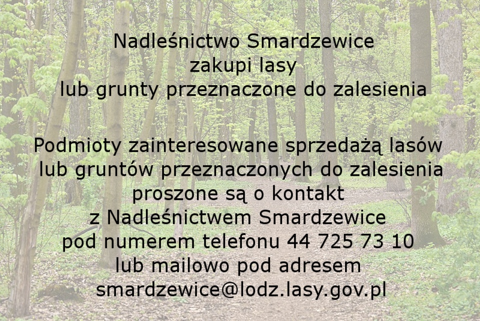 Na zdjęciu: ogłoszenie Nadleśnictwa Smardzewice o chęci zakupu lasów i gruntów przeznaczonych do zalesienia