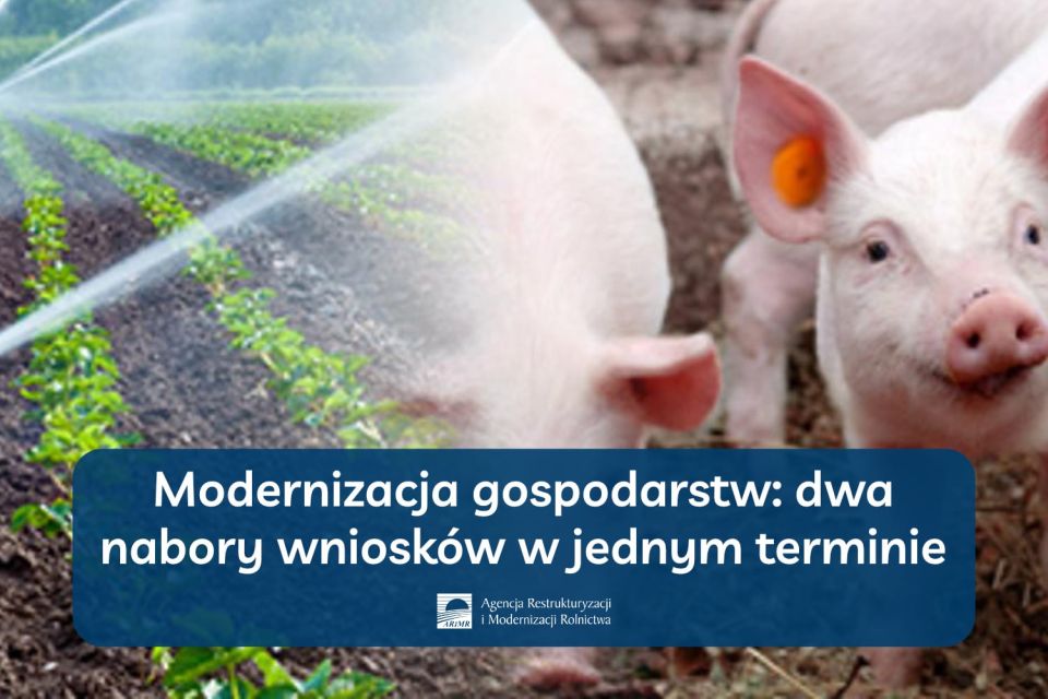 Na zdjęciu: ulotka ARiMR, informująca o naborze wniosków na „Modernizację gospodarstw rolnych” w dwóch obszarach – rozwój produkcji prosiąt oraz nawadniania w gospodarstwie