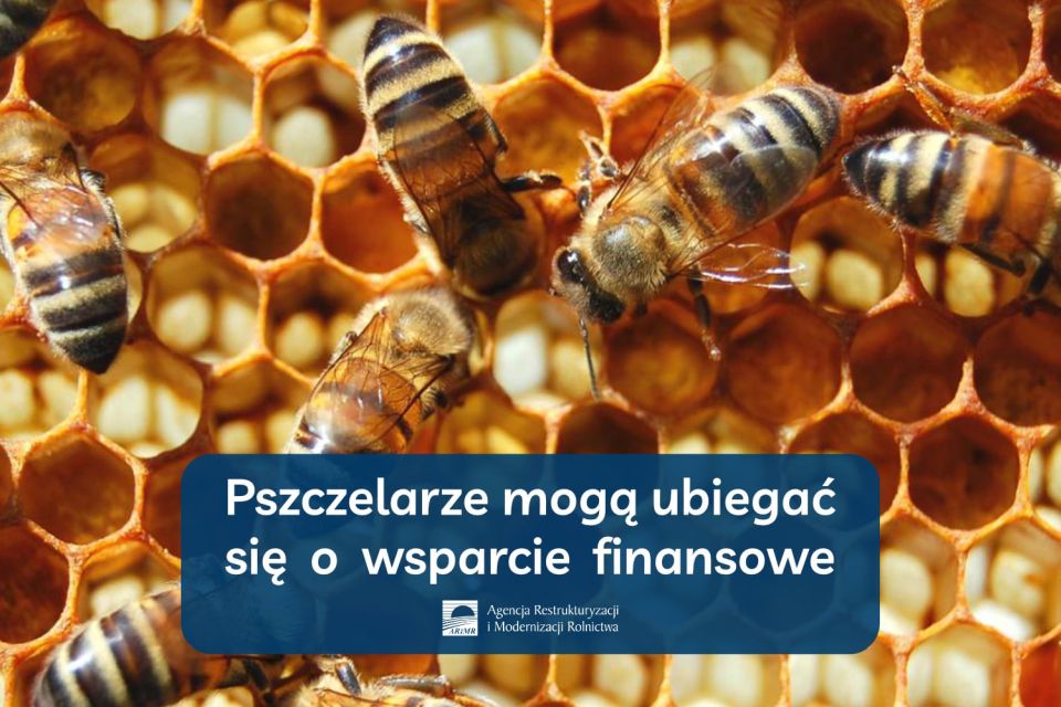 Na zdjęciu: ulotka ARiMR informująca o tym, że pszczelarze mogą już ubiegać się o wsparcie finansowe