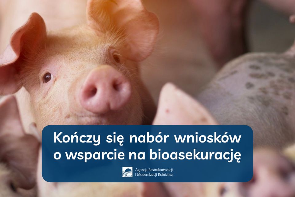 Na zdjęciu: plakat Agencji Restrukturyzacji i Modernizacji Rolnictwa informujący o kończącym się 27 sierpnia 2021 roku naborze wniosków o wsparcie na bioasekurację