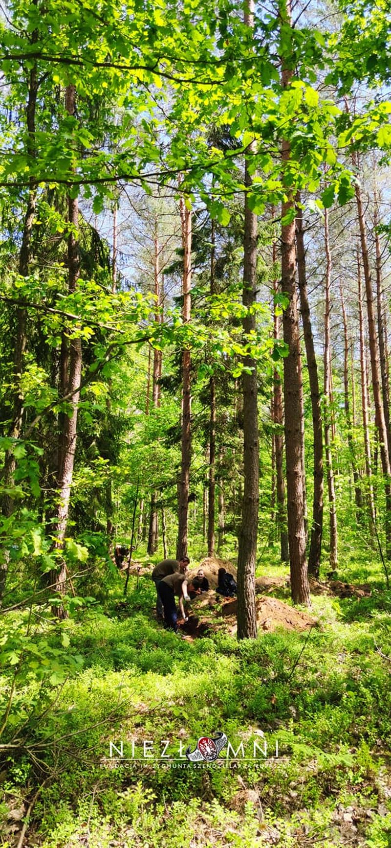 Na zdjęciu: Strzelcy z Jednostki Strzeleckiej 1002 pomagają Fundacji „Niezłomni” w poszukiwaniach miejsc pochowania żołnierzy 25. Pułku Piechoty Armii Krajowej, którym dowodził patron Jednostki, mjr Rudolf Majewski ps. ,,Leśniak"