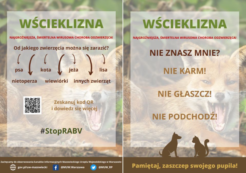 Na zdjęciu: ulotka zachęcająca do szczepienia psów i kotów przeciw wściekliźnie