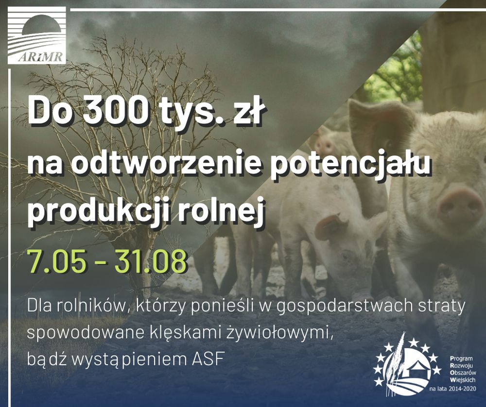 Od czwartku rolnicy mogą składać wnioski o przyznanie pomocy w ramach działania „Inwestycje odtwarzające potencjał produkcji rolnej”