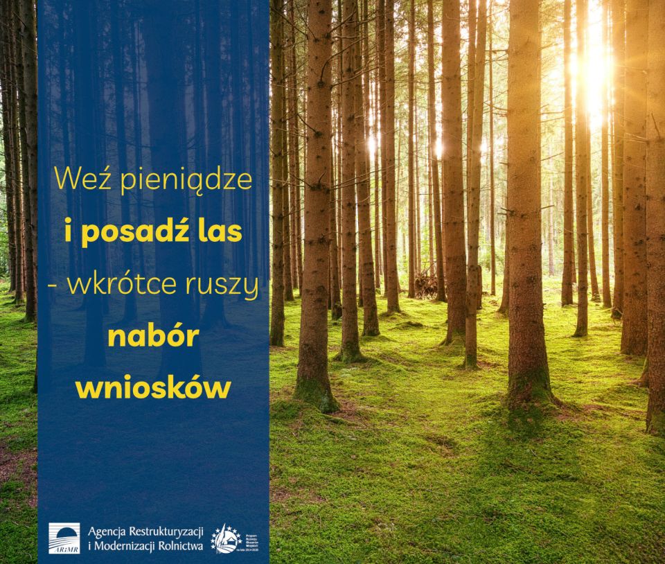 Na zdjęciu: plakat akcji Agencji Restrukturyzacji i Modernizacji Rolnictwa - Weź pieniądze i posadź las