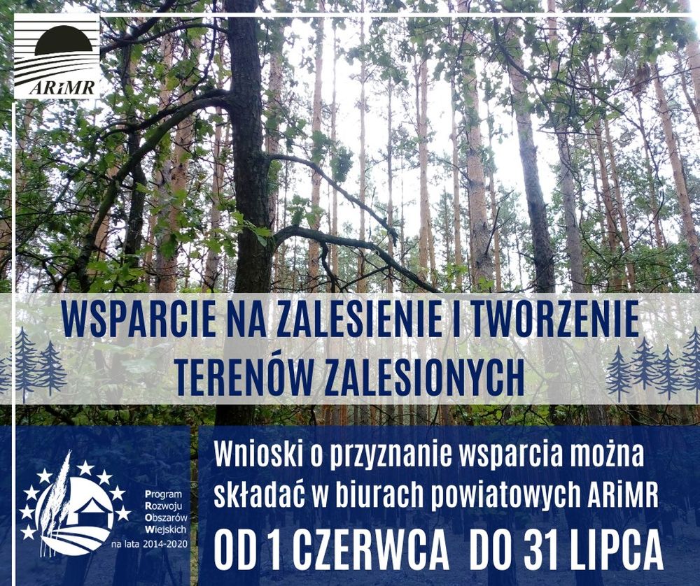 Weź pieniądze na posadzenie lasu Weź pieniądze na posadzenie lasu