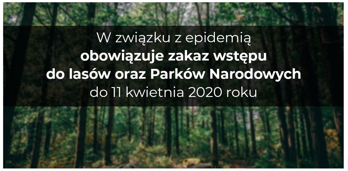 Do 11 kwietnia zakaz wstępu do lasów